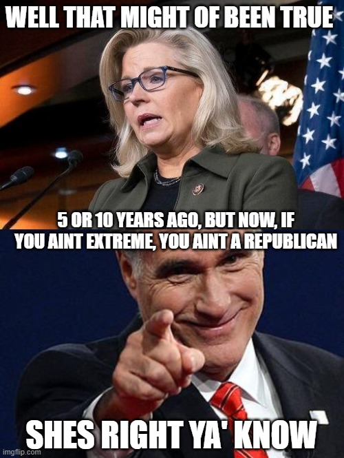 WELL THAT MIGHT OF BEEN TRUE 5 OR 10 YEARS AGO, BUT NOW, IF YOU AINT EXTREME, YOU AINT A REPUBLICAN SHES RIGHT YA' KNOW | image tagged in liz cheney,mitt romney pointing | made w/ Imgflip meme maker