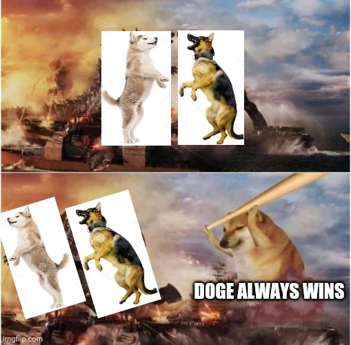 Huskzilla VS King Shepherd (Part 1) | DOGE ALWAYS WINS | image tagged in kong godzilla doge | made w/ Imgflip meme maker