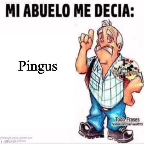 Mi Abuelo Me Decia: | Pingus | image tagged in mi abuelo me decia | made w/ Imgflip meme maker