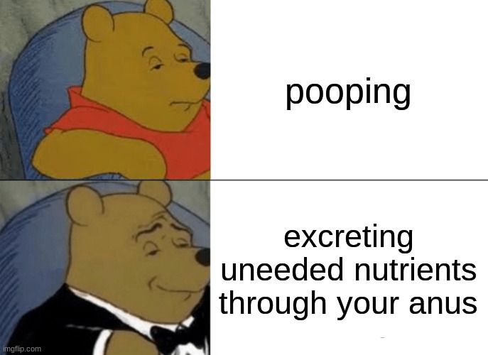 poop |  pooping; excreting uneeded nutrients through your anus | image tagged in memes,tuxedo winnie the pooh | made w/ Imgflip meme maker