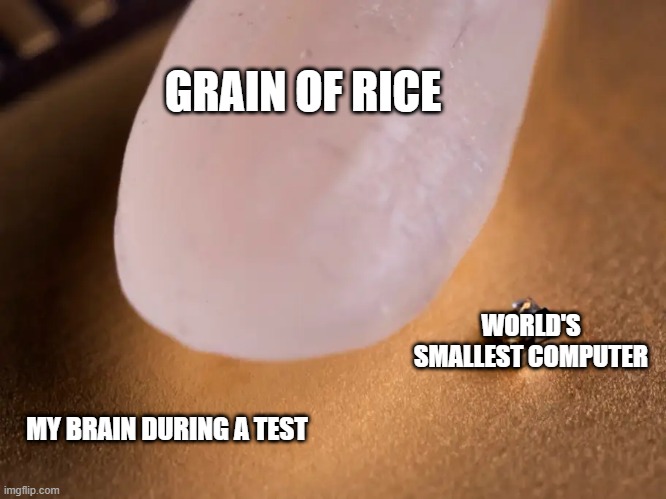 Relateable | GRAIN OF RICE; WORLD'S SMALLEST COMPUTER; MY BRAIN DURING A TEST | image tagged in worlds smallest computer,fun,memes,oh wow are you actually reading these tags | made w/ Imgflip meme maker