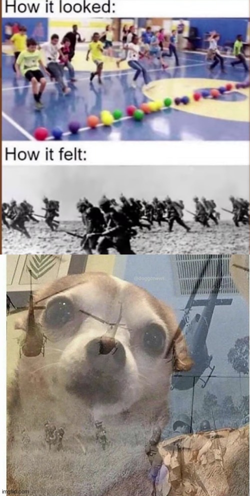 *tramua begins to seep in* | image tagged in ptsd chihuahua | made w/ Imgflip meme maker