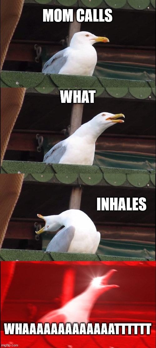 Inhaling Seagull | MOM CALLS; WHAT; INHALES; WHAAAAAAAAAAAAATTTTTT | image tagged in memes,inhaling seagull | made w/ Imgflip meme maker