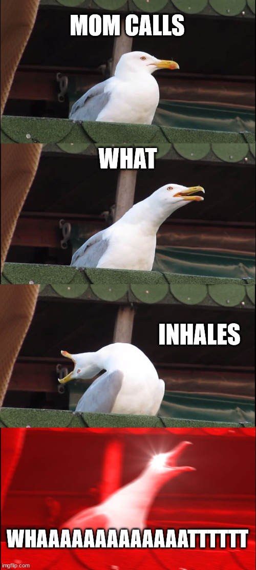 Inhaling Seagull Meme | MOM CALLS; WHAT; INHALES; WHAAAAAAAAAAAAATTTTTT | image tagged in memes,inhaling seagull | made w/ Imgflip meme maker