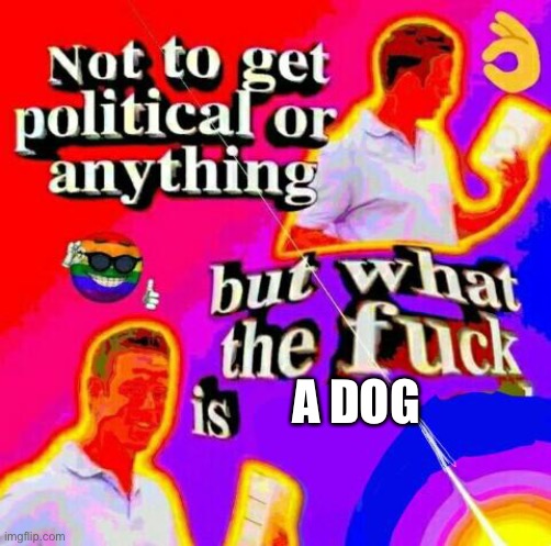 Not to get political but tf | A DOG | image tagged in not to get political but tf | made w/ Imgflip meme maker