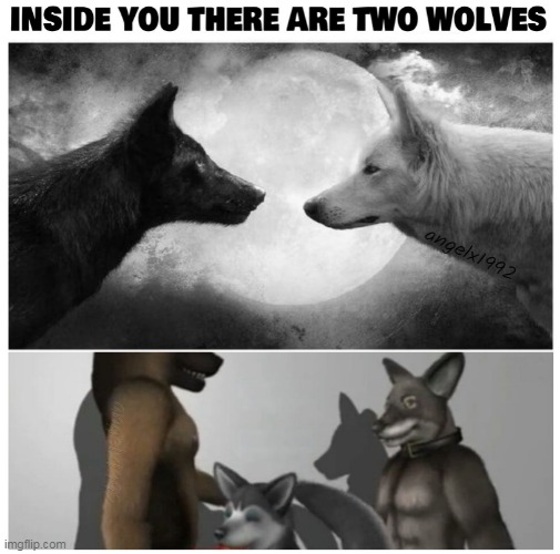 image tagged in wolves,parables,two wolves,native american,lgbtq,furries | made w/ Imgflip meme maker