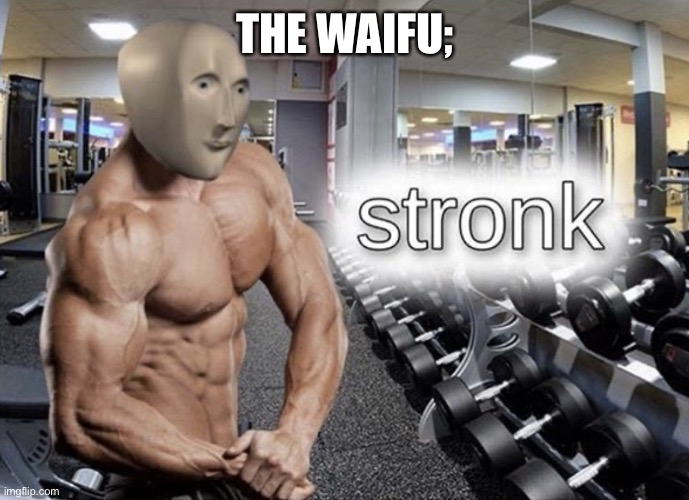 Meme man stronk | THE WAIFU; | image tagged in meme man stronk | made w/ Imgflip meme maker