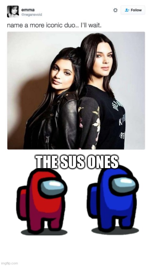 Sus duo | image tagged in sus,among us,name a more iconic duo | made w/ Imgflip meme maker