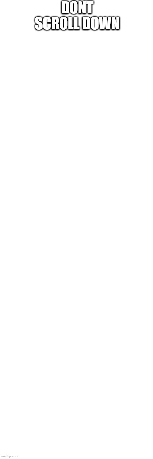 Blank Transparent Square | DONT SCROLL DOWN | image tagged in memes,blank transparent square | made w/ Imgflip meme maker