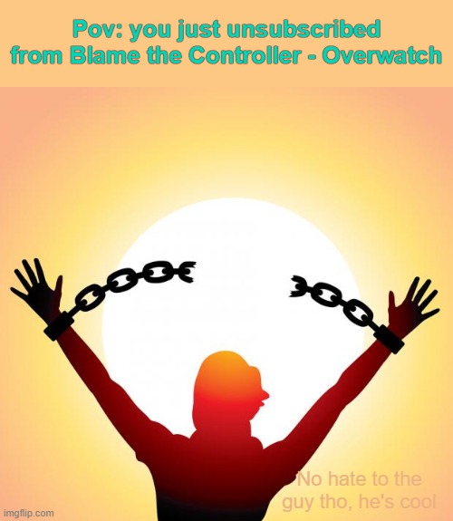 freedom | Pov: you just unsubscribed from Blame the Controller - Overwatch; No hate to the guy tho, he's cool | image tagged in freedom,overwatch | made w/ Imgflip meme maker