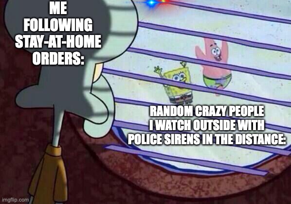 Squidward window | ME FOLLOWING STAY-AT-HOME ORDERS:; RANDOM CRAZY PEOPLE I WATCH OUTSIDE WITH POLICE SIRENS IN THE DISTANCE: | image tagged in squidward window | made w/ Imgflip meme maker