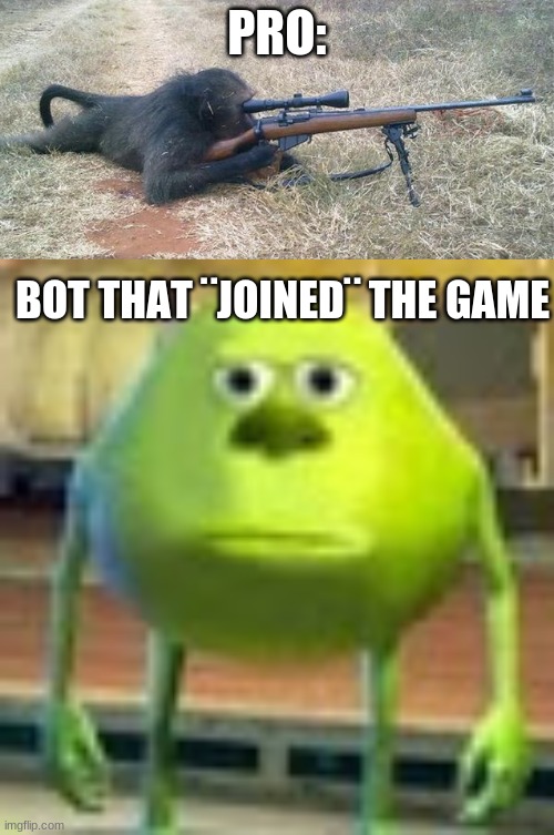 lol | PRO:; BOT THAT ¨JOINED¨ THE GAME | image tagged in sniper monkey,sully wazowski | made w/ Imgflip meme maker