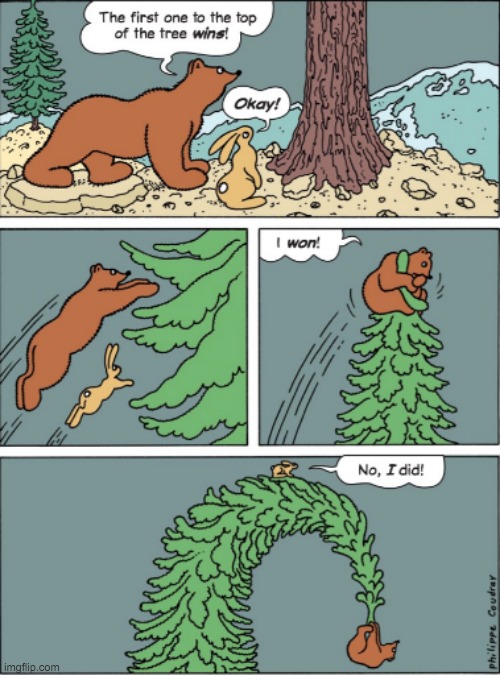 Who won? Comment down below | image tagged in memes,lol,tree,bear,comics,rabbit | made w/ Imgflip meme maker
