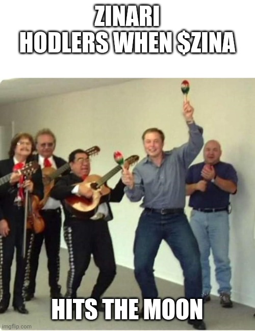 Elon Musk Birthday | ZINARI HODLERS WHEN $ZINA; HITS THE MOON | image tagged in elon musk birthday | made w/ Imgflip meme maker