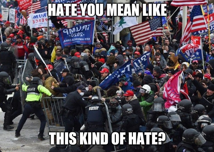 Capitol | HATE YOU MEAN LIKE THIS KIND OF HATE? | image tagged in capitol | made w/ Imgflip meme maker