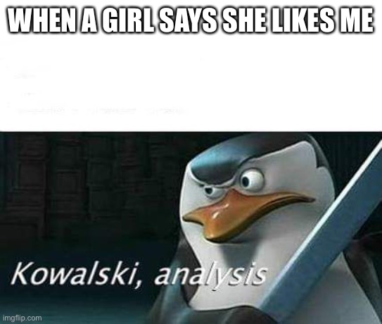 Kowalski, analysis | WHEN A GIRL SAYS SHE LIKES ME | image tagged in kowalski analysis | made w/ Imgflip meme maker