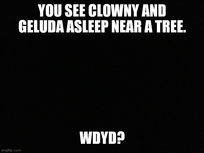 HAHA Squeak. |  YOU SEE CLOWNY AND GELUDA ASLEEP NEAR A TREE. WDYD? | image tagged in blank black | made w/ Imgflip meme maker