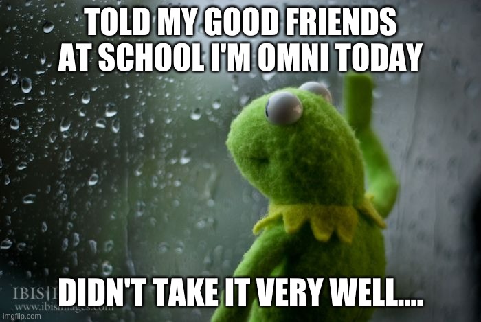 I wish they did....... they are rly loyal and great friends. first ppl to ever rly accept me | TOLD MY GOOD FRIENDS AT SCHOOL I'M OMNI TODAY; DIDN'T TAKE IT VERY WELL.... | image tagged in kermit window | made w/ Imgflip meme maker