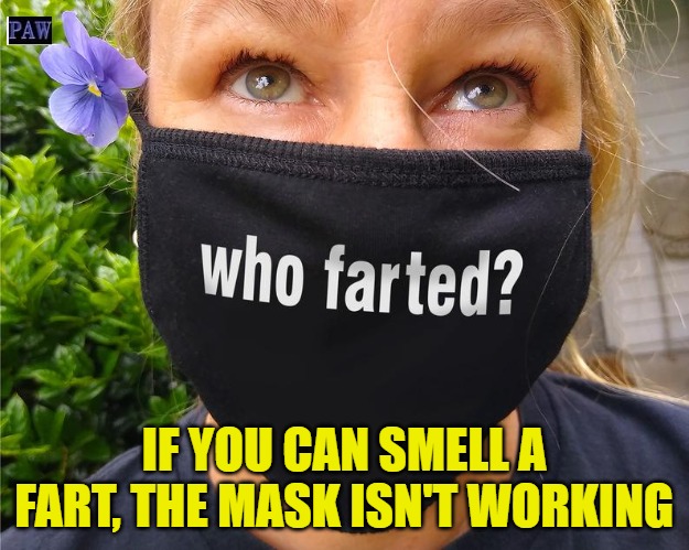 Fart Mask | IF YOU CAN SMELL A FART, THE MASK ISN'T WORKING | image tagged in fart,mask,funny,smell | made w/ Imgflip meme maker