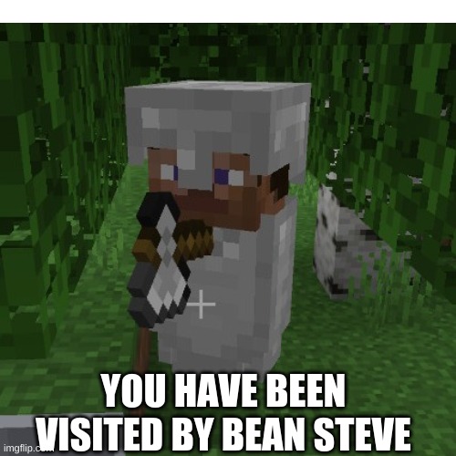 Pass this on to other sterams | YOU HAVE BEEN VISITED BY BEAN STEVE | image tagged in minecraft,cursed,glitch,blessed,blursed | made w/ Imgflip meme maker