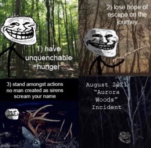 Heres a bit of Trollge for ya lads and lasses | image tagged in aurora woods | made w/ Imgflip meme maker