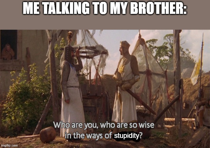 Who are you so wise in the ways of science | ME TALKING TO MY BROTHER: stupidity | image tagged in who are you so wise in the ways of science | made w/ Imgflip meme maker
