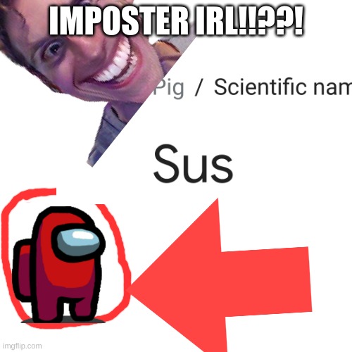 I would like to apologize in advance | IMPOSTER IRL!!??! | image tagged in sus,memes | made w/ Imgflip meme maker