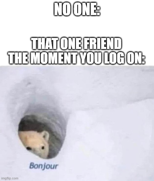every single time | NO ONE:; THAT ONE FRIEND THE MOMENT YOU LOG ON: | image tagged in bonjour | made w/ Imgflip meme maker