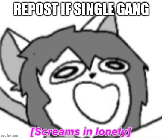 idk | REPOST IF SINGLE GANG | image tagged in screams in lonely | made w/ Imgflip meme maker