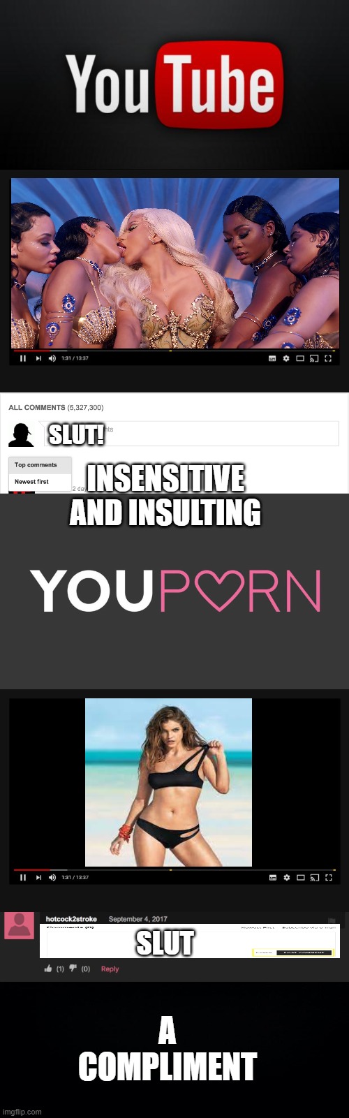youporn and youtube comment section | SLUT! INSENSITIVE AND INSULTING; A COMPLIMENT; SLUT | image tagged in youtube,youporn,comment section | made w/ Imgflip meme maker