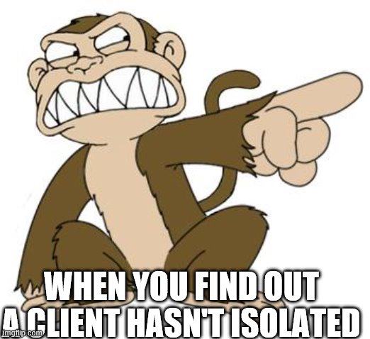 Angry Monkey Family Guy | WHEN YOU FIND OUT A CLIENT HASN'T ISOLATED | image tagged in angry monkey family guy | made w/ Imgflip meme maker