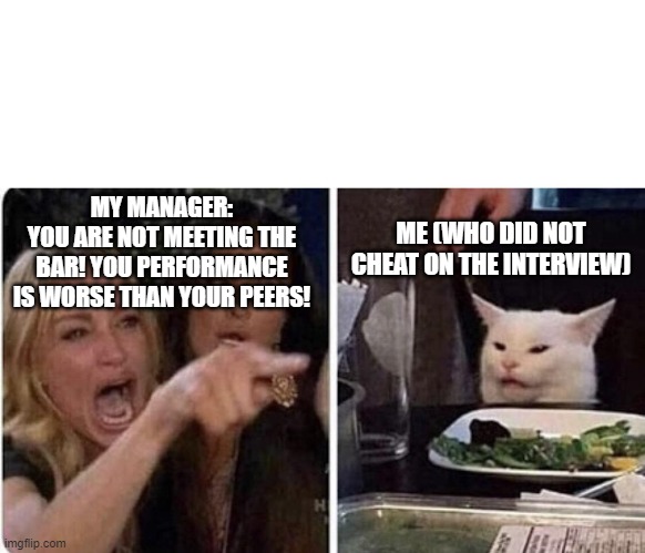 Ladies Yelling at Confused Cat | MY MANAGER:
YOU ARE NOT MEETING THE BAR! YOU PERFORMANCE IS WORSE THAN YOUR PEERS! ME (WHO DID NOT CHEAT ON THE INTERVIEW) | image tagged in ladies yelling at confused cat | made w/ Imgflip meme maker