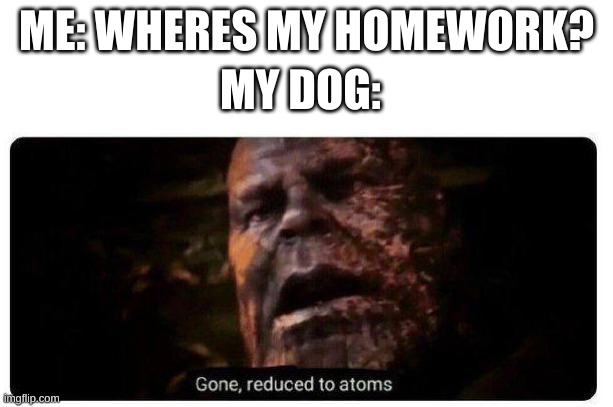 Gone, reduced to atoms. | ME: WHERES MY HOMEWORK? MY DOG: | image tagged in gone reduced to atoms | made w/ Imgflip meme maker