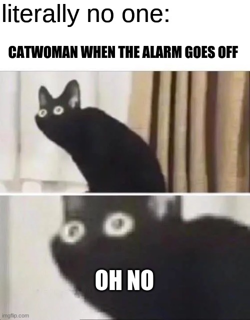 Oh No Black Cat | literally no one:; CATWOMAN WHEN THE ALARM GOES OFF; OH NO | image tagged in oh no black cat | made w/ Imgflip meme maker