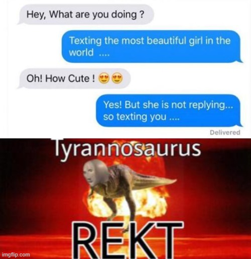 I wonder who she is. | image tagged in tyrannosaurus rekt,text messages,memes,mememan,roasted | made w/ Imgflip meme maker