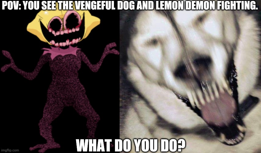 TVD is owned by Le_epic_doggo. | POV: YOU SEE THE VENGEFUL DOG AND LEMON DEMON FIGHTING. WHAT DO YOU DO? | image tagged in tvd,fnf | made w/ Imgflip meme maker