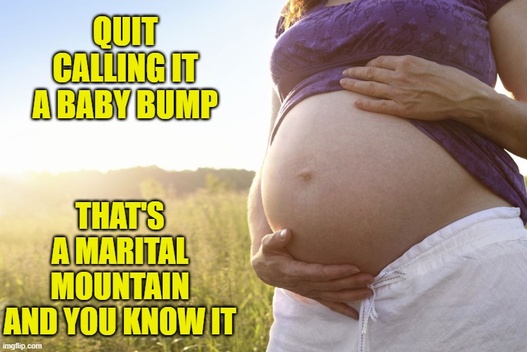Marital Mountain! | QUIT CALLING IT A BABY BUMP; THAT'S A MARITAL MOUNTAIN AND YOU KNOW IT | image tagged in pregnant woman,memes,funny,funny memes,pregnant,hilarious | made w/ Imgflip meme maker