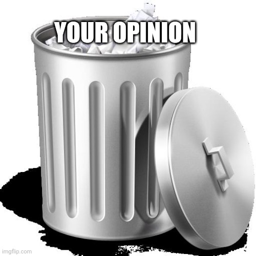 Trash can full | YOUR OPINION | image tagged in trash can full | made w/ Imgflip meme maker