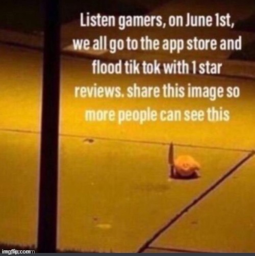 Do it. | image tagged in flood tiktok on june 1st,meme,tiktok sucks,june | made w/ Imgflip meme maker