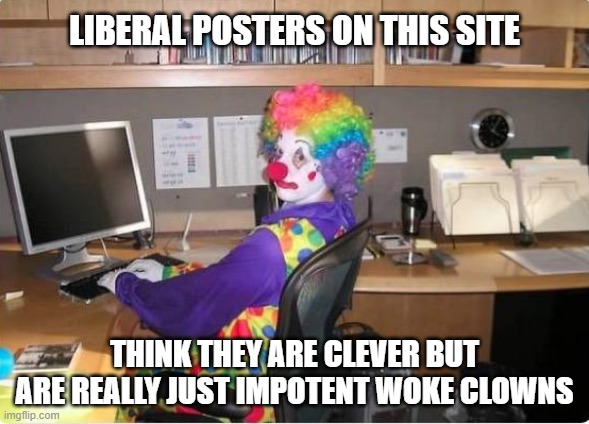 Send in the clowns. | LIBERAL POSTERS ON THIS SITE; THINK THEY ARE CLEVER BUT ARE REALLY JUST IMPOTENT WOKE CLOWNS | image tagged in this is how you look,liberals,woke,democrats,millennials,dimwits | made w/ Imgflip meme maker