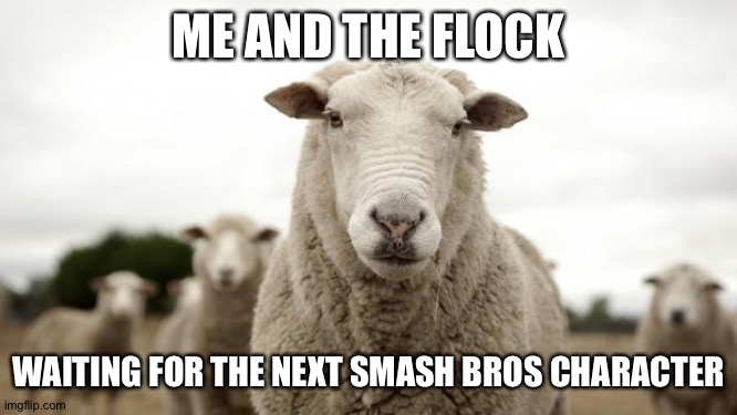 Sheep | ME AND THE FLOCK; WAITING FOR THE NEXT SMASH BROS CHARACTER | image tagged in sheep | made w/ Imgflip meme maker