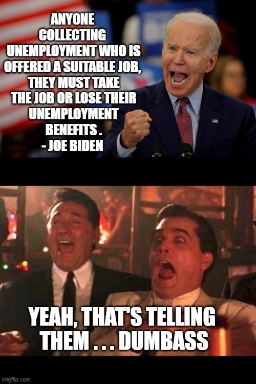 Joe's Got An Idea | ANYONE COLLECTING
 UNEMPLOYMENT WHO IS OFFERED A SUITABLE JOB,
 THEY MUST TAKE
 THE JOB OR LOSE THEIR
 UNEMPLOYMENT
 BENEFITS .
- JOE BIDEN; YEAH, THAT'S TELLING
 THEM . . . DUMBASS | image tagged in biden,welfare,kamala,liberals,democrats,unemployment | made w/ Imgflip meme maker