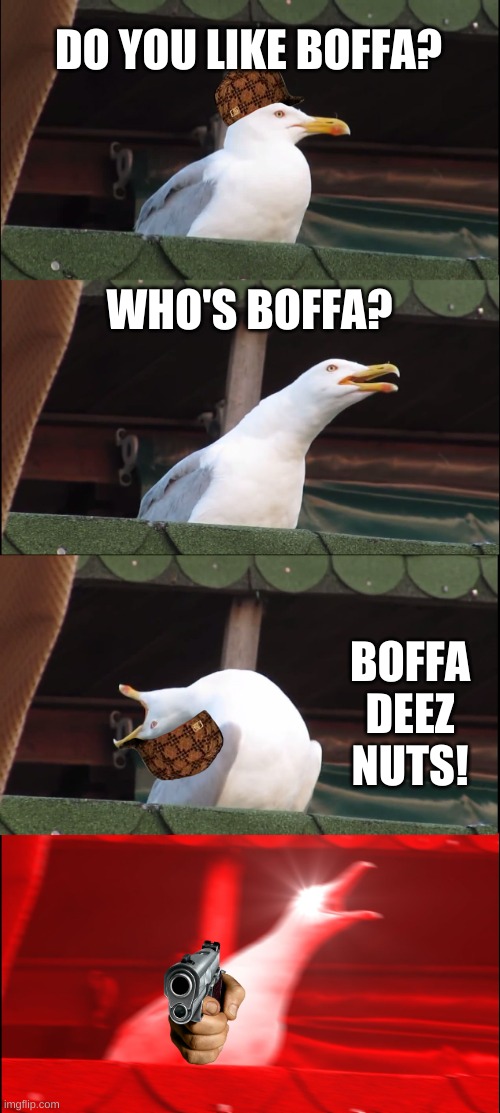 Goteem!! | DO YOU LIKE BOFFA? WHO'S BOFFA? BOFFA DEEZ NUTS! | image tagged in memes,inhaling seagull,deez nuts | made w/ Imgflip meme maker