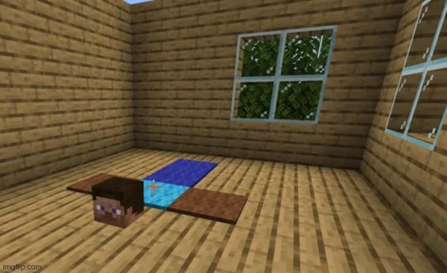 someone made a steve skin rug | image tagged in memes,minecraft,wtf | made w/ Imgflip meme maker