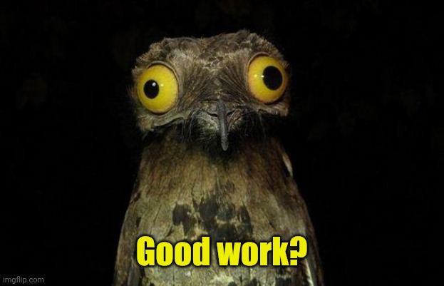 Weird Stuff I Do Potoo Meme | Good work? | image tagged in memes,weird stuff i do potoo | made w/ Imgflip meme maker