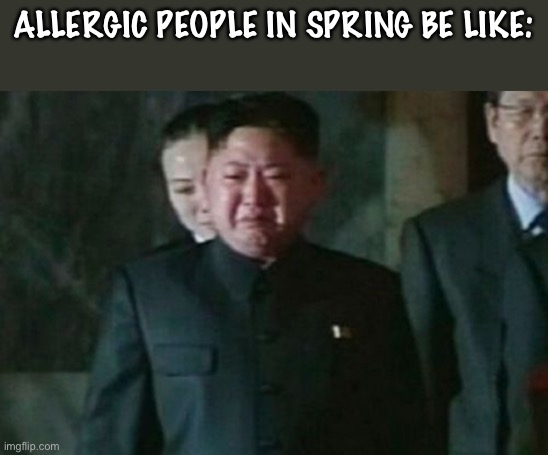 Worst time of year | ALLERGIC PEOPLE IN SPRING BE LIKE: | image tagged in memes,kim jong un sad | made w/ Imgflip meme maker