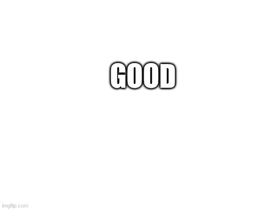 Blank White Template | GOOD | image tagged in blank white template | made w/ Imgflip meme maker