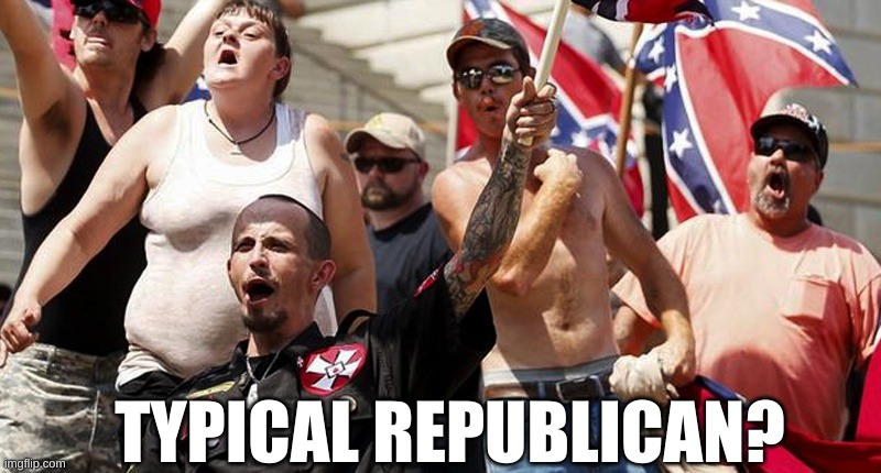 Confederate Flag Supporters | TYPICAL REPUBLICAN? | image tagged in confederate flag supporters | made w/ Imgflip meme maker