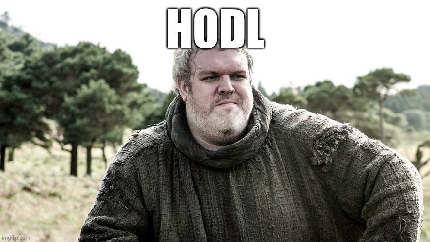 Hodor hodl | HODL | image tagged in hodl,stocks,game of thrones,hodor | made w/ Imgflip meme maker