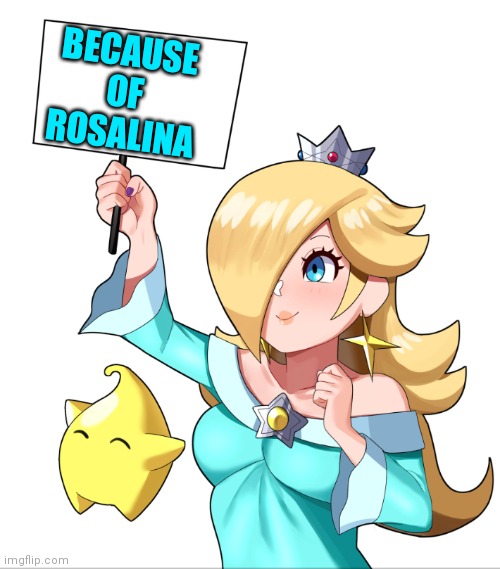 ROSALINA SIGN | BECAUSE OF ROSALINA | image tagged in rosalina sign | made w/ Imgflip meme maker